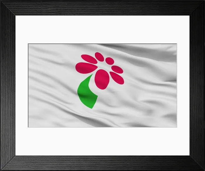 Framed Print : Minamiboso City Flag, Japan, Chiba Prefecture Framed Print : Minamiboso City Flag, Japan, Chiba Prefecture