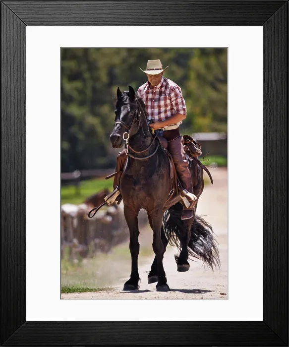Framed Print : Cowboy, horse and riding on ranch Framed Print : Cowboy, horse and riding on ranch
