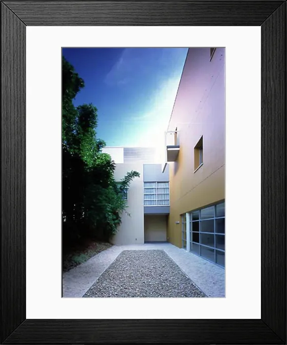 Framed Print : blacktown district hospital bamboo atrium Framed Print : blacktown district hospital bamboo atrium