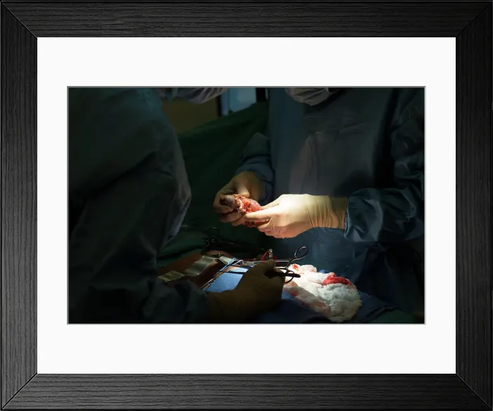 Framed Print : Reportage on a kidney transplant in the urology service of Nice Hospital