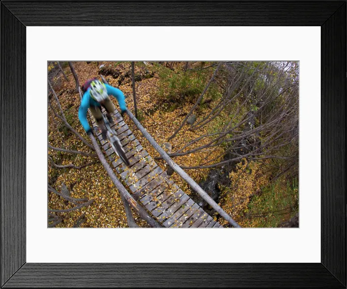Framed Print : A male mountain biker rides the amazing trails of Carcross, Yukon during the fall colors Framed Print : A male mountain biker rides the amazing trails of Carcross, Yukon during the fall colors