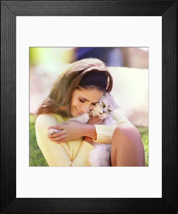 Framed Print : Trendy young woman with Persian cat cuddling and loving her grey feline while sitting on the grass outside at park