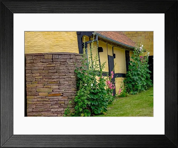 Framed Print : Yellow house with stone facade and flowers growing along the house, svaneke, bornholm, baltic sea, denmark, scandinavia Framed Print : Yellow house with stone facade and flowers growing along the house, svaneke, bornholm, baltic sea, denmark, scandinavia