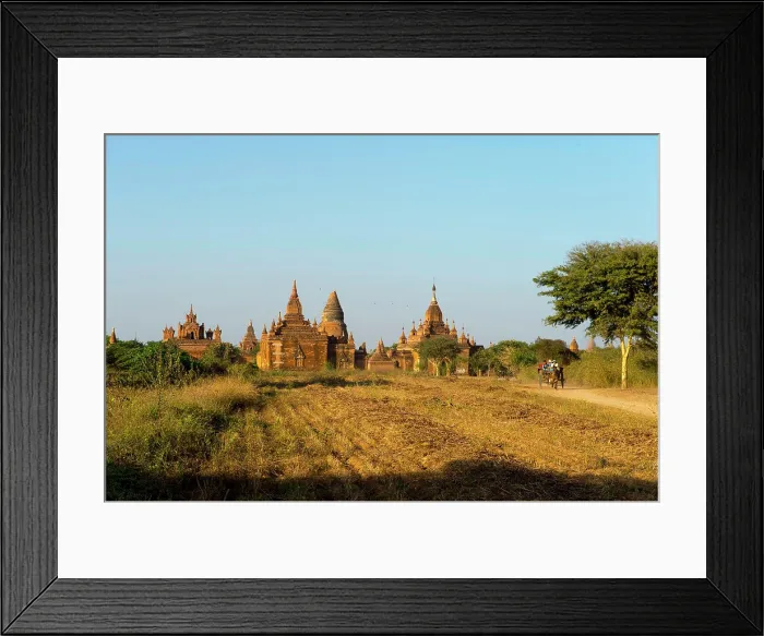 Framed Print : A horse carriage is coming from a small Buddhist temple complex in Bagan, Myanmar Framed Print : A horse carriage is coming from a small Buddhist temple complex in Bagan, Myanmar