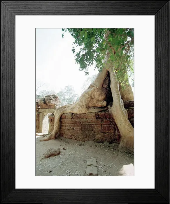 Framed Print : Angkor Wat, Siem Reap, Cambodia Framed Print : Angkor Wat, Siem Reap, Cambodia
