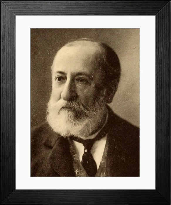 Framed Print : Camille Saint-Saens (1835-1921) French composer, organist and music critic. Halftone, 1902 Framed Print : Camille Saint-Saens (1835-1921) French composer, organist and music critic. Halftone, 1902