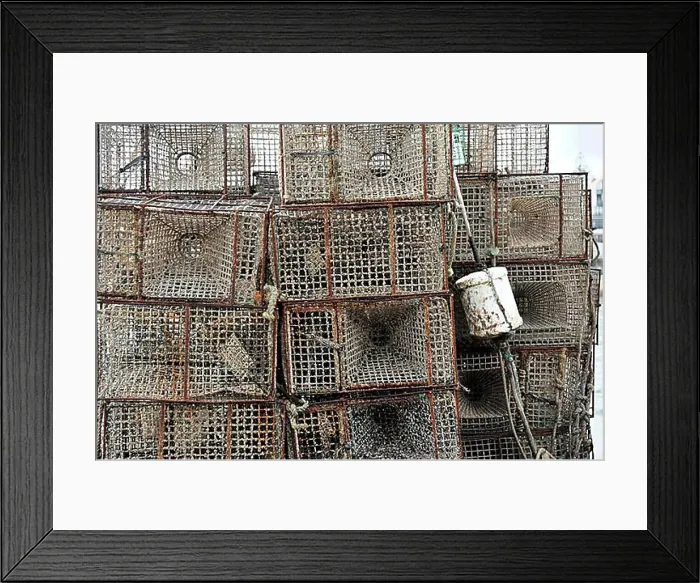 Framed Print : Lobster pots, harbour, Cascais, Lisbon, Portugal, Europe Framed Print : Lobster pots, harbour, Cascais, Lisbon, Portugal, Europe