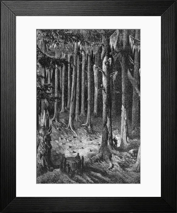 Framed Print : Yosemite National Park: on the way through the forest to the Big Trees