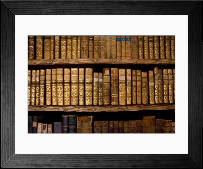 Framed Print : Books at library in the monastery of Waldsassen, Upper Palatinate, Bavaria, Germany Framed Print : Books at library in the monastery of Waldsassen, Upper Palatinate, Bavaria, Germany