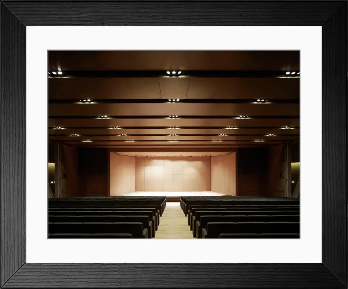 Framed Print : MAST Foundation, Bologna, Italy. Architect: Labics, 2013. Auditorium Framed Print : MAST Foundation, Bologna, Italy. Architect: Labics, 2013. Auditorium