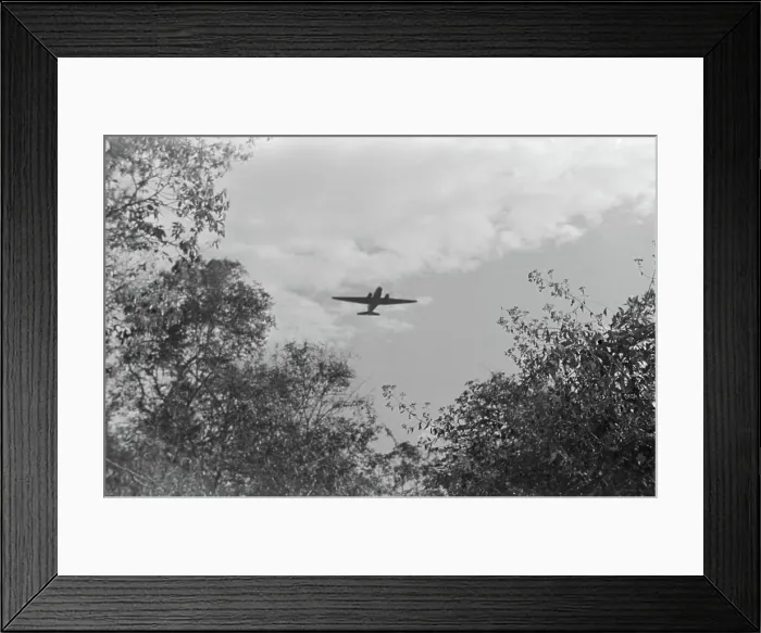 Framed Print : Detachment 101, an enigmatic Allied intelligence and special operations unit during World War II Framed Print : Detachment 101, an enigmatic Allied intelligence and special operations unit during World War II