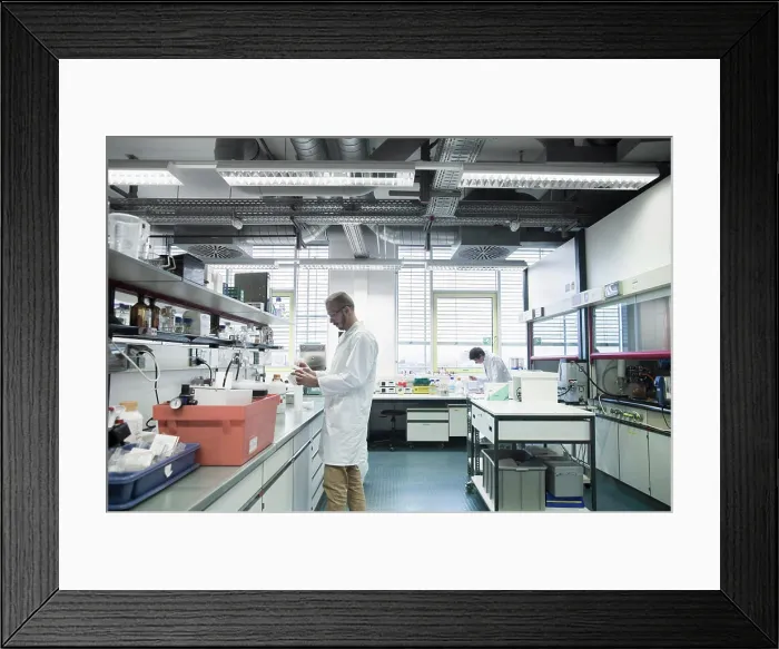 Framed Print : Male scientists working in a pharmacy laboratory, Freiburg im Breisgau, Baden-Wºrttemberg, Germany Framed Print : Male scientists working in a pharmacy laboratory, Freiburg im Breisgau, Baden-Wºrttemberg, Germany