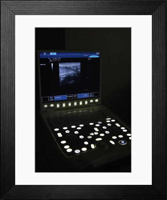 Framed Print : ultrasound scan dog ultrasound scan with stomach of a dog Copyright: xZoonar.com / IvonnexWierinkx 8034042