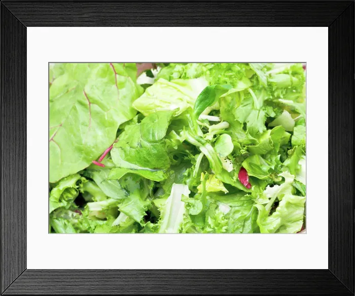 Framed Print : green leaves in fresh italian lettuce appetizer green leaves in fresh italian lettuce appetizer close up Copyright