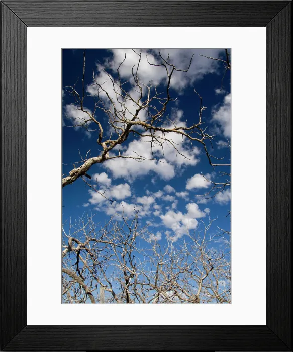Framed Print : Colorado, Mesa Verde National Park. Park Point Lookout Framed Print : Colorado, Mesa Verde National Park. Park Point Lookout