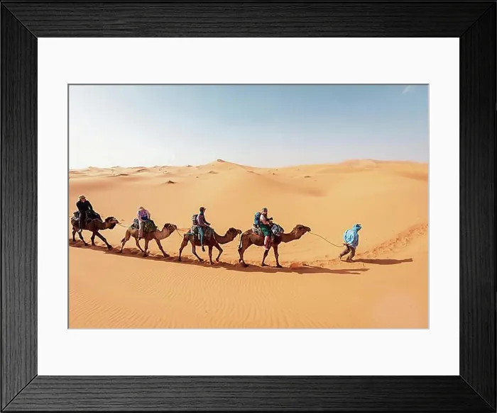 Framed Print : Caravan with dromedaries (Camelus dromedarius), sand dunes in the desert, Erg Chebbi, Merzouga, Sahara, Morocco, Africa Framed Print : Caravan with dromedaries (Camelus dromedarius), sand dunes in the desert, Erg Chebbi, Merzouga, Sahara, Morocco, Africa
