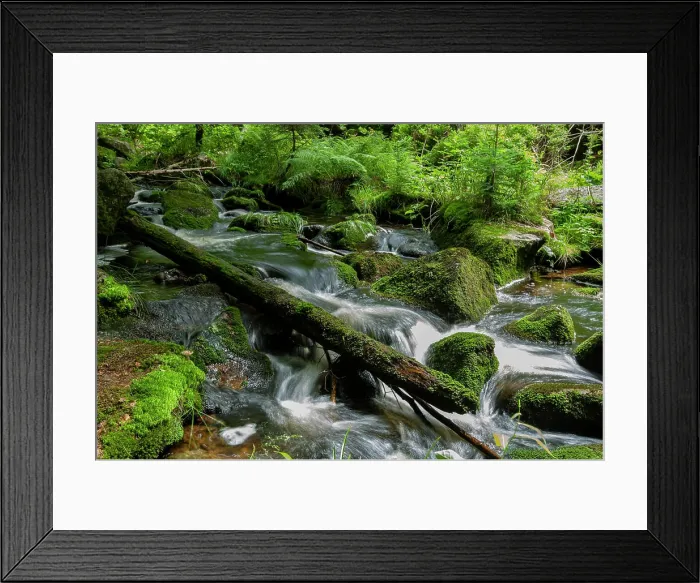 Framed Print : River in Bavaria, Germany Framed Print : River in Bavaria, Germany