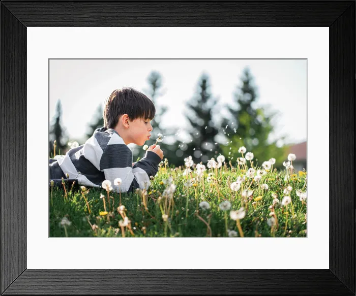 Framed Print : Young boy laying on the grass blowing seeds off of a dandelion flower Framed Print : Young boy laying on the grass blowing seeds off of a dandelion flower