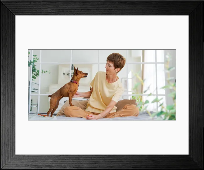 Framed Print : Besitzerin spielt mit fröhlichem Hund zu Hause Framed Print : Besitzerin spielt mit fröhlichem Hund zu Hause