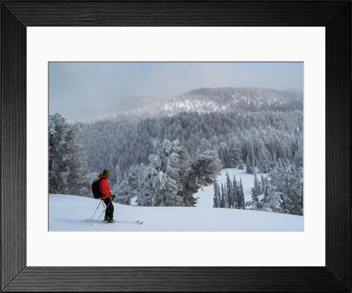 Framed Print : USA, Idaho. Skier admiring sub-alpine firs, Bear Lake region Framed Print : USA, Idaho. Skier admiring sub-alpine firs, Bear Lake region