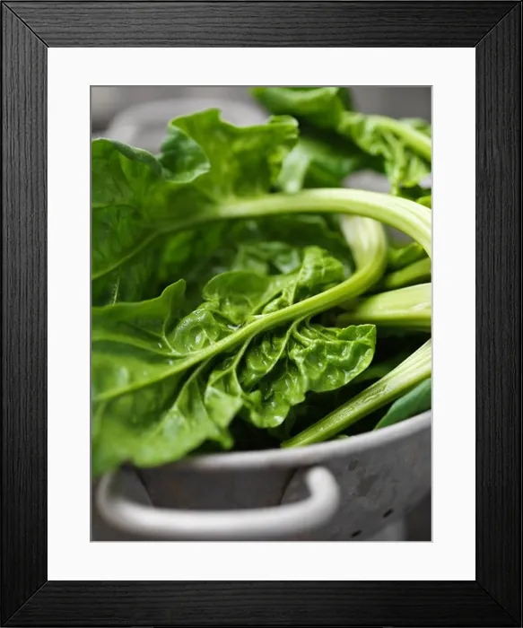 Framed Print : Close up of spinach in colander Framed Print : Close up of spinach in colander