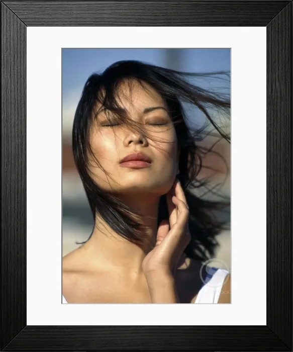 Framed Print : License this image at https: / / www Framed Print : License this image at https: / / www