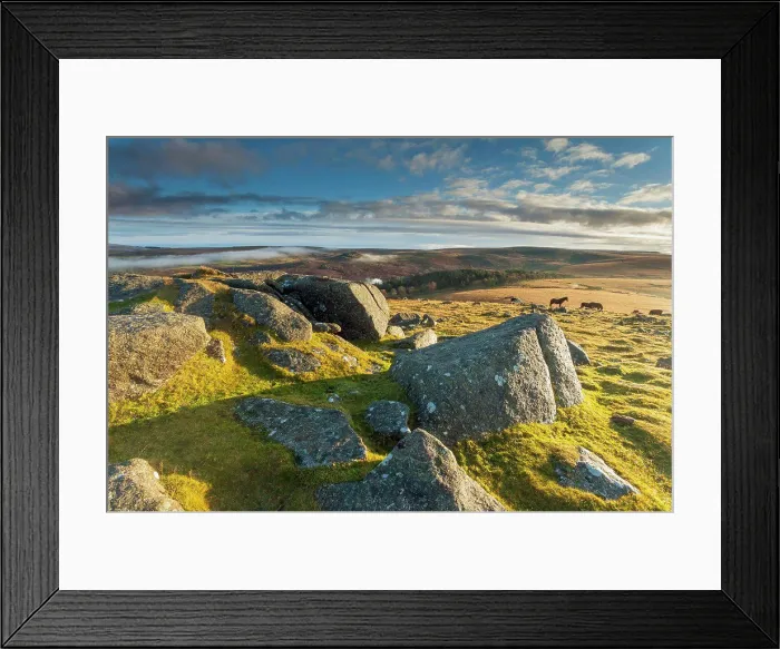 Framed Print : Morning at Sheepstor in Dartmoor