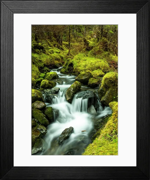 Framed Print : Mossy Stream, Cordova Alaska Framed Print : Mossy Stream, Cordova Alaska