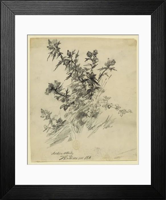 Framed Print : Nature Study, Walter Shirlaw, American Framed Print : Nature Study, Walter Shirlaw, American