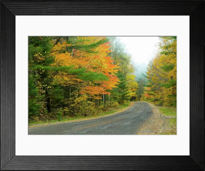 Framed Print : foggy landscape a foggy trail in the middle of a forest Copyright: xZoonar.com / VladxPodkhlebnikx 578044