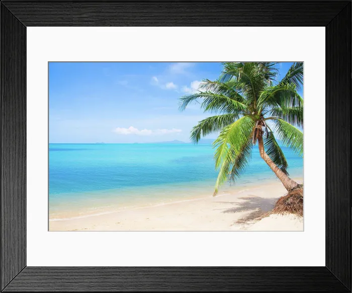 Framed Print : beach and coconut palm tree beach and coconut palm tree Copyright: xZoonar.com / AlexanderxOzerovx 14374663
