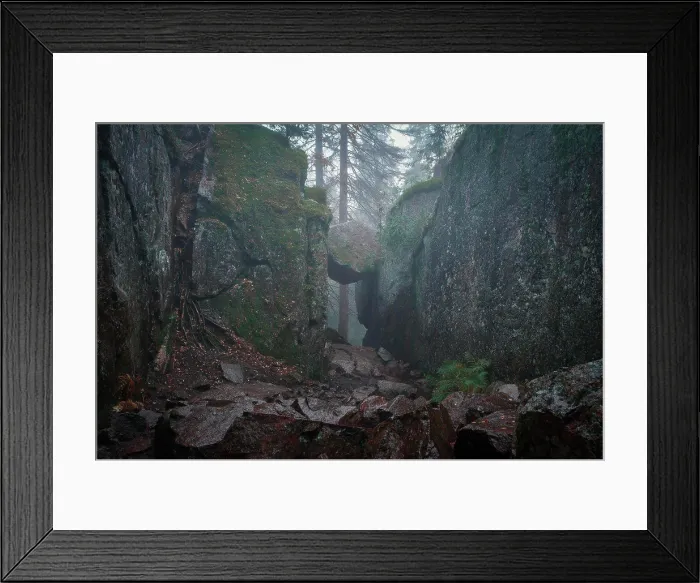Framed Print : Slåttdalsskrevan canyon in Skuleskogen National Park in eastern Sweden Framed Print : Slåttdalsskrevan canyon in Skuleskogen National Park in eastern Sweden