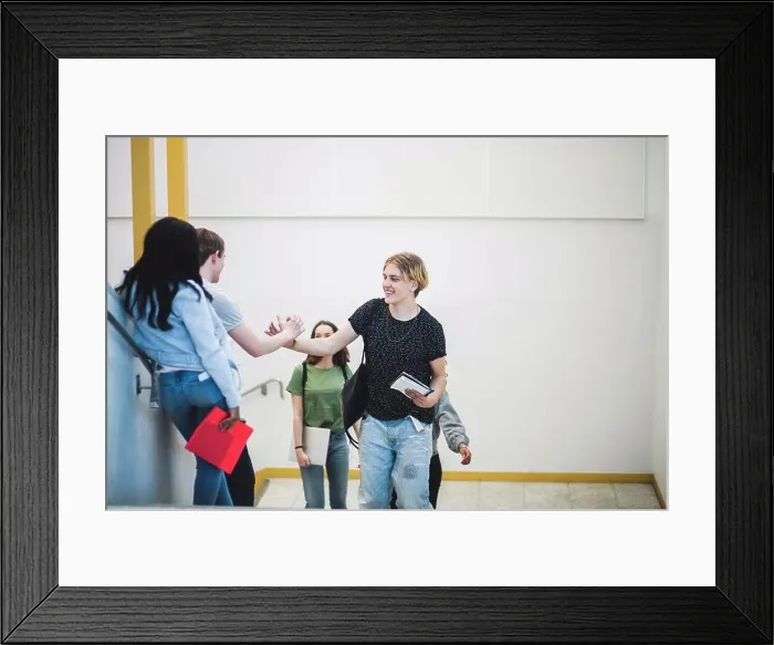Framed Print : High angle view of happy multi-ethnic high school students greeting on steps Framed Print : High angle view of happy multi-ethnic high school students greeting on steps