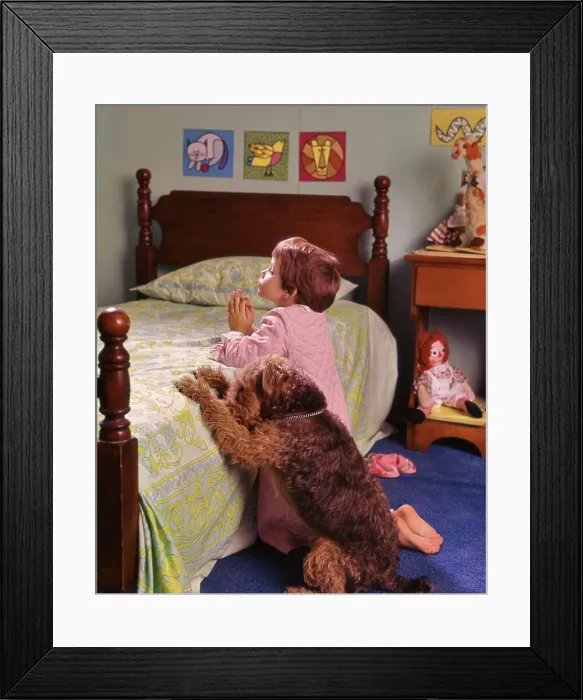Framed Print : 1970s 1980s LITTLE RED HAIR GIRL KNEELING IN BEDROOM BESIDE BED SAYING PRAYERS WITH PET WIRE HAIR TERRIER DOG ALONGSIDE Framed Print : 1970s 1980s LITTLE RED HAIR GIRL KNEELING IN BEDROOM BESIDE BED SAYING PRAYERS WITH PET WIRE HAIR TERRIER DOG ALONGSIDE