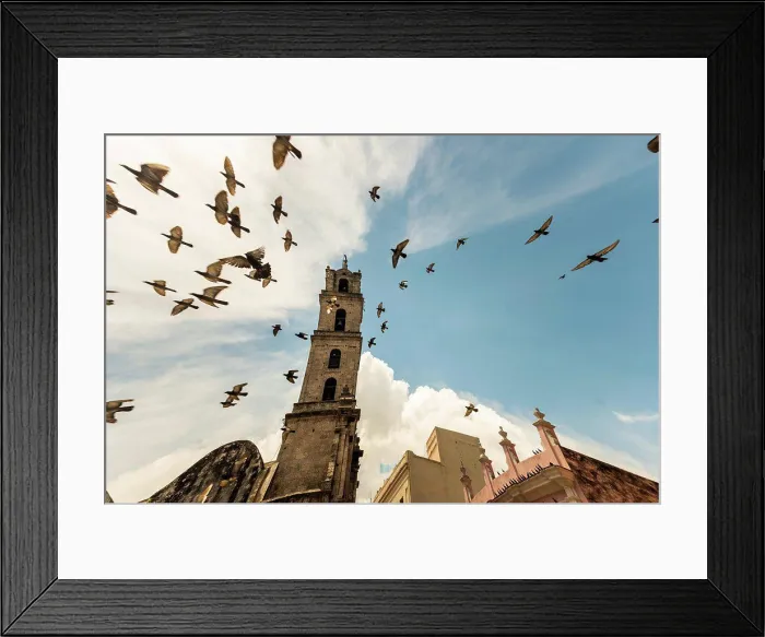 Framed Print : Doves flying in front of the church of Havana