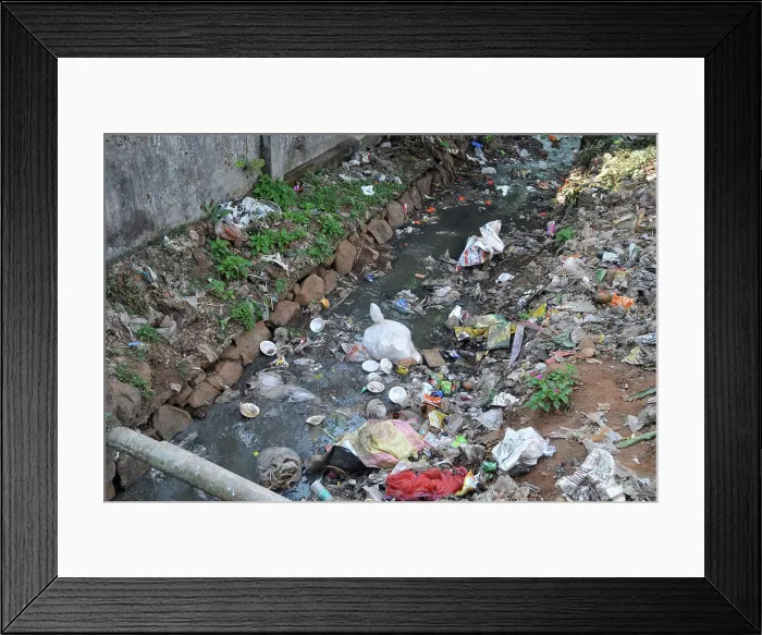 Framed Print : River pollution in Koratpur in Odisha in India Framed Print : River pollution in Koratpur in Odisha in India