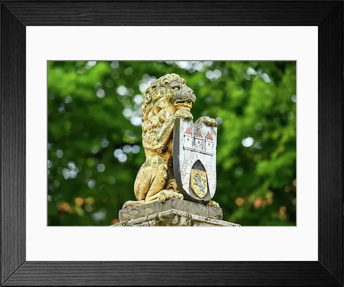 Framed Print : Lion with city coat of arms, Celle, Lower Saxony, Germany, Europe Framed Print : Lion with city coat of arms, Celle, Lower Saxony, Germany, Europe