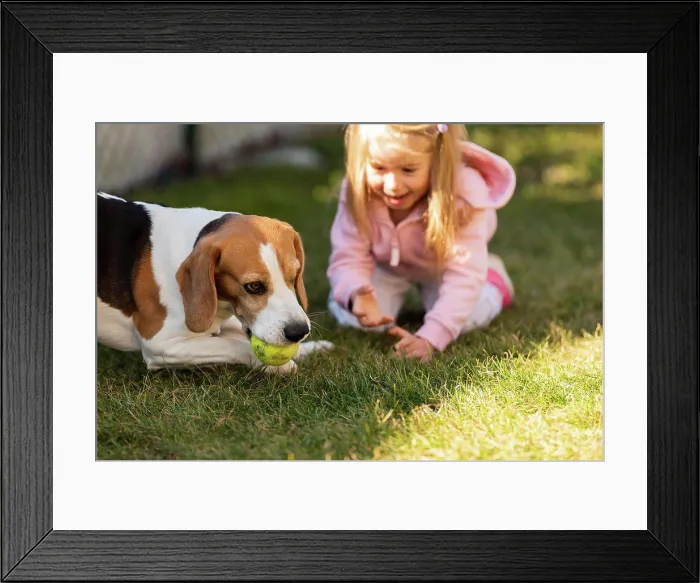 Framed Print : Child playing with dog on grass Framed Print : Child playing with dog on grass