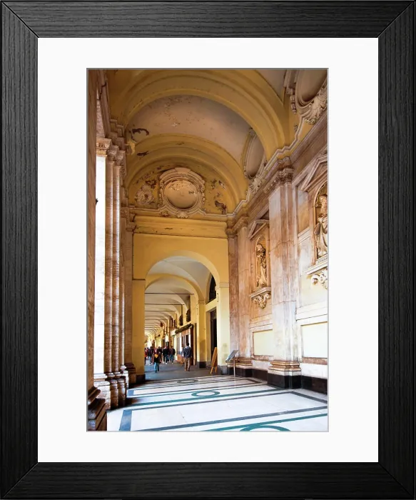 Framed Print : Exploring the stunning architecture of a historic gallery passage. (Arcade, Turin) Framed Print : Exploring the stunning architecture of a historic gallery passage. (Arcade, Turin)