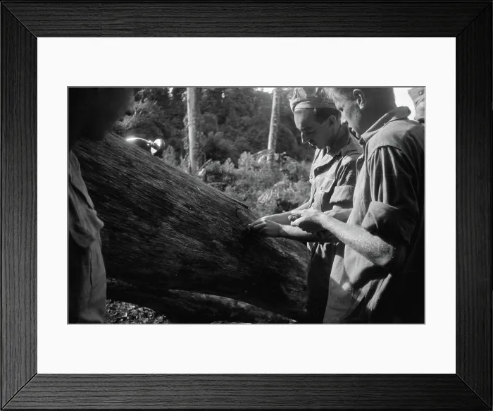 Framed Print : Photo collection Service for army contacts Indonesia