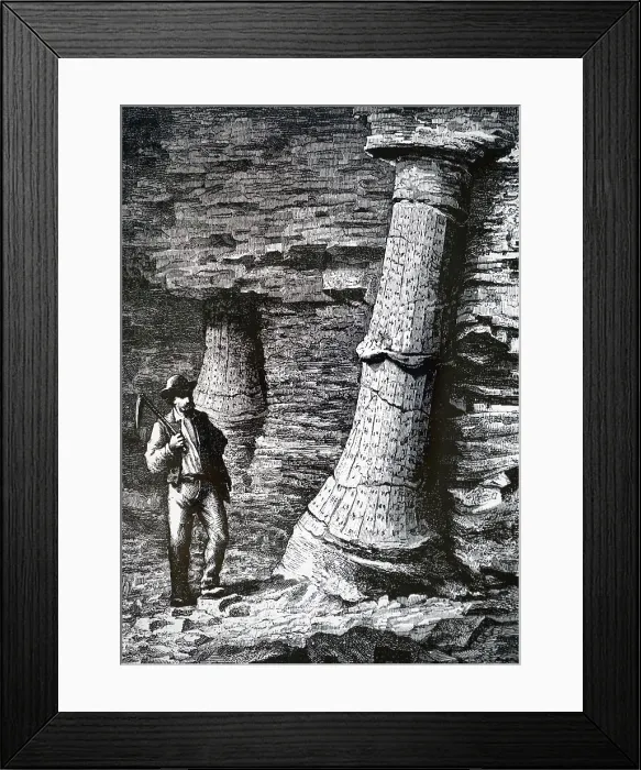 Framed Print : An engraving depicting a fossil tree trunk in a coal mine at Treuil near St Etienne. Dated 19th century