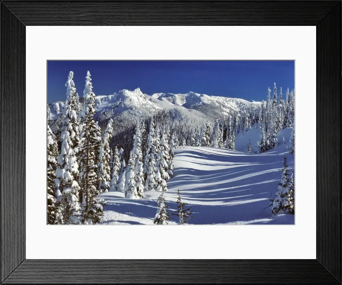 Framed Print : 1990s WINTER SNOW SCENE STEEPLE ROCK OLYMPIC NATIONAL PARK WASHINGTON STATE USA Framed Print : 1990s WINTER SNOW SCENE STEEPLE ROCK OLYMPIC NATIONAL PARK WASHINGTON STATE USA
