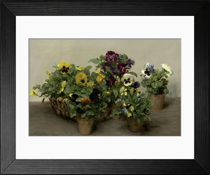 Framed Print : Henri Fantin Latour, Pansies, 1874 Pansies Framed Print : Henri Fantin Latour, Pansies, 1874 Pansies