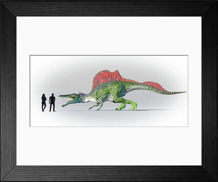 Framed Print : Humans compared in scale to Spinosaurus Framed Print : Humans compared in scale to Spinosaurus