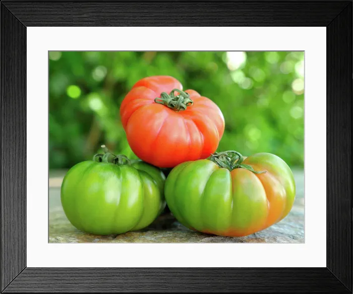 Framed Print : Verschiedene Marinda Tomaten aus Sizilien;Marinda tomatoes Framed Print : Verschiedene Marinda Tomaten aus Sizilien;Marinda tomatoes