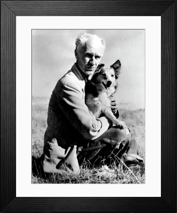 Framed Print : Ernie Pyle And His Dog -- Ernie Pyle Framed Print : Ernie Pyle And His Dog -- Ernie Pyle