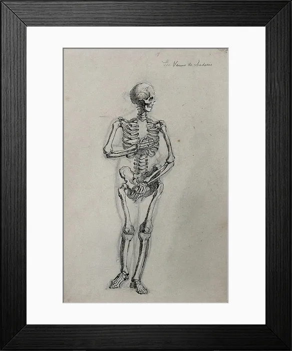 Framed Print : A skeleton in the pose of the Venus de Medici. Pen and ink drawing Framed Print : A skeleton in the pose of the Venus de Medici. Pen and ink drawing