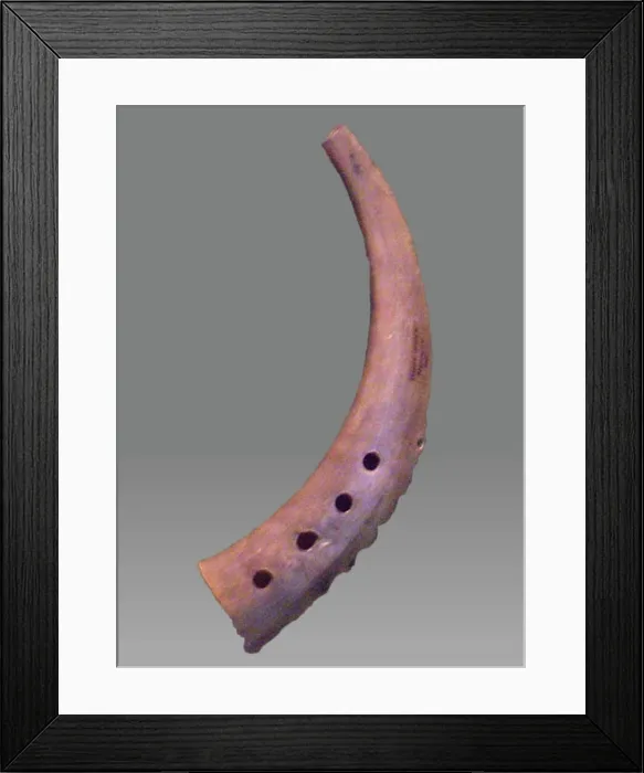 Framed Print : Bukkehorn ca. 1883 Norwegian A folk instrument of goat's horn is used in Scandinavia found under the name bukkehorn or Framed Print : Bukkehorn ca. 1883 Norwegian A folk instrument of goat's horn is used in Scandinavia found under the name bukkehorn or