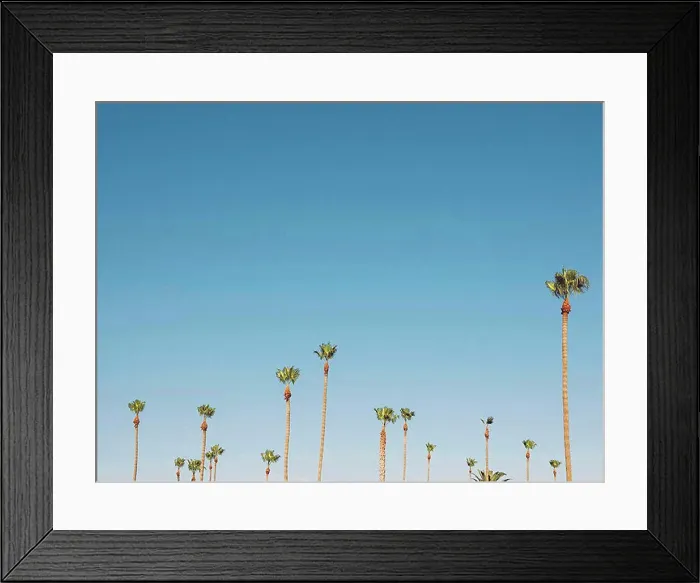 Framed Print : Low angle view of palm trees growing against clear sky, Coalinga, California, USA Framed Print : Low angle view of palm trees growing against clear sky, Coalinga, California, USA
