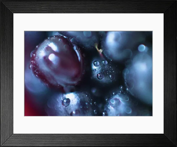 Framed Print : Extreme close-up of blackberry fruit Framed Print : Extreme close-up of blackberry fruit